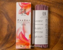 Daphne Incense: Ka-Fuh Traditional Japanese Incense