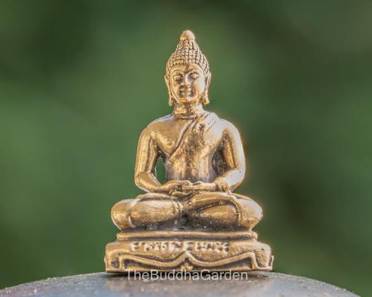 Outlets Buddha Statue, Buddha Decor, Buddha Figurines