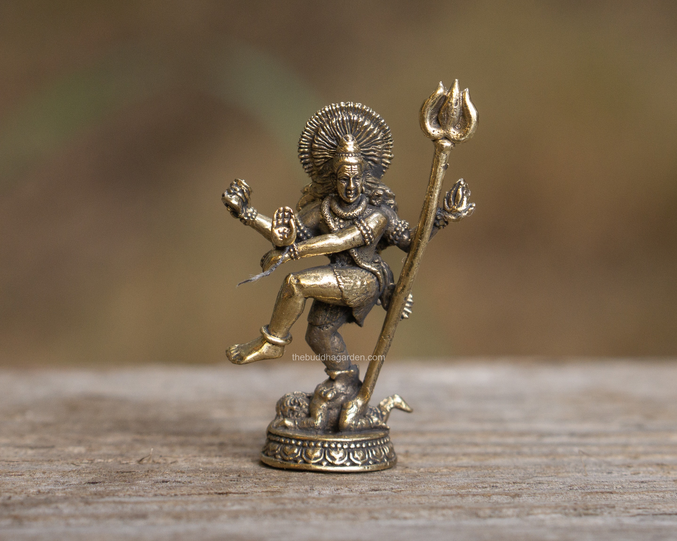 Indian God Shiva Dancing in Nataraja Pose Stock Vector - Illustration of  idol, hindu: 77066017